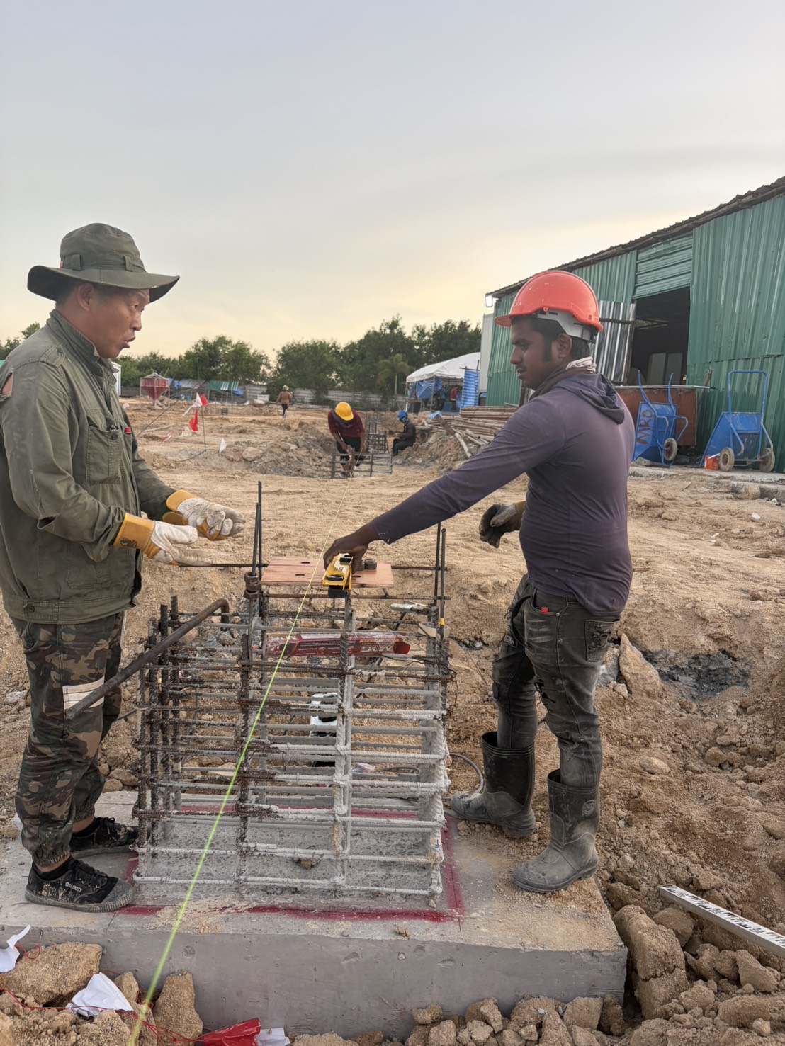 S__141066303_0 S__141066303_0