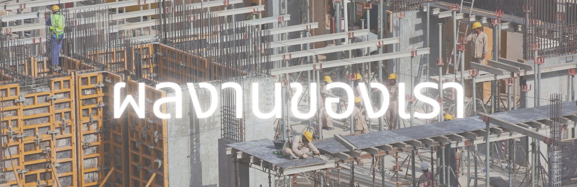 ผลงานของเรา